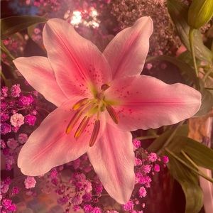 Meet your Posher, Kyla